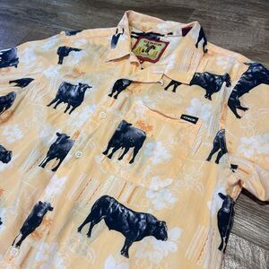Cinch Shirt Mens M Cowboy Collection Hawaiian Bulls Cows Short Sleeve Camp